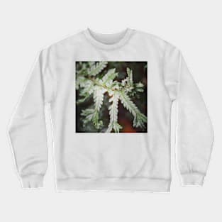 Spiky fern Crewneck Sweatshirt